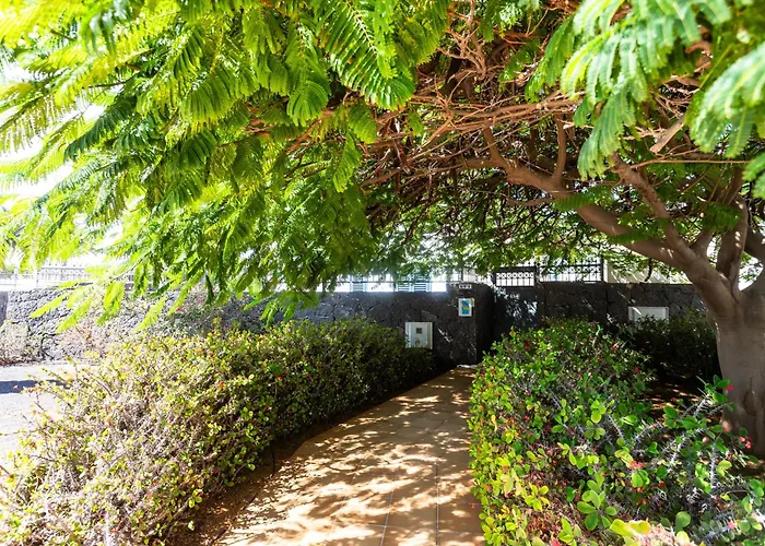 Marina Rubicon Number 5 * Playa Blanca