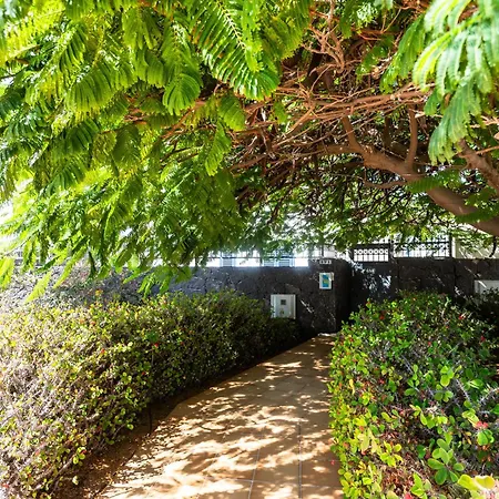 Marina Rubicon Number 5 * Playa Blanca